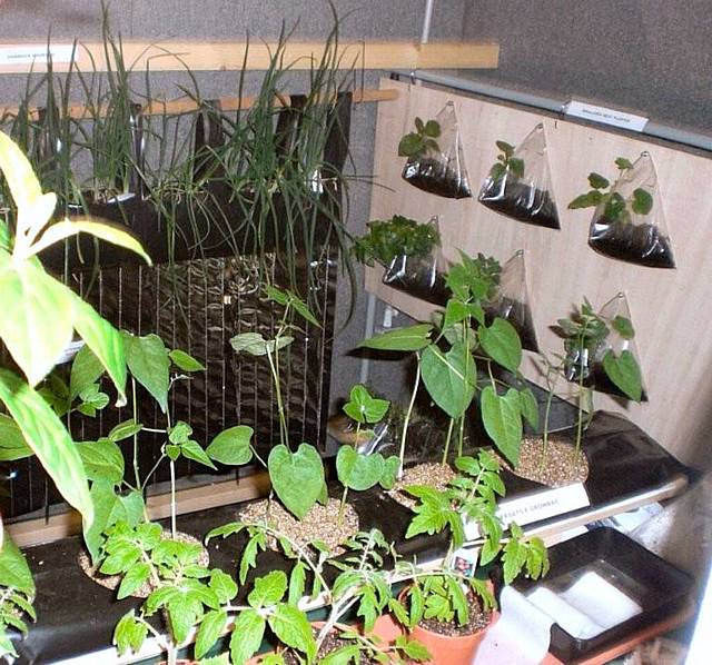 UrbanFarm® Planters are inexpensive, flexible horticultural growing containers