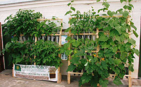 Vertical Vegetable Growbag