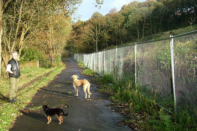 2004 - clear-felled former woodland