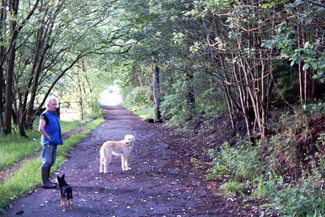 2003 - woodland before the destructive act of 15 May 2004