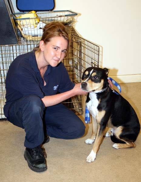 Chantal Taylor decided to do a skydive to help raise funds for the branch to look after pets like her dog, Blue.