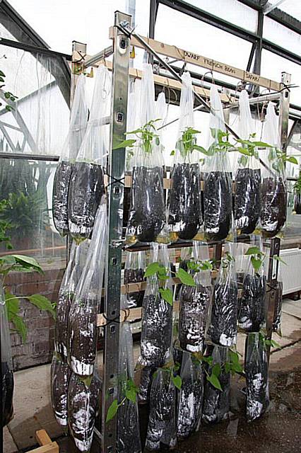 Vertical growbags