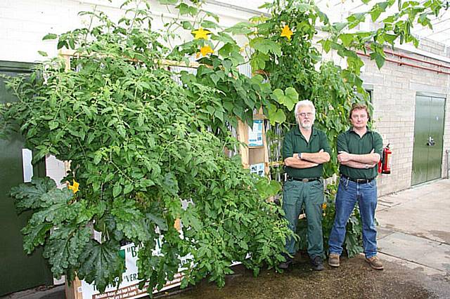 Vertical growbags