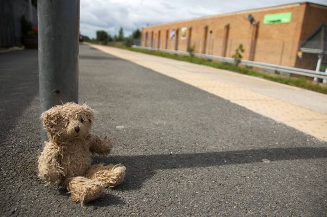 Looks like Ted is enjoying the sunshine propped up on a post somewhere...