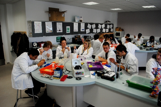 Applied Science students taking part in the workshop