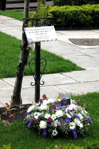 The memorial tree in Rochdale