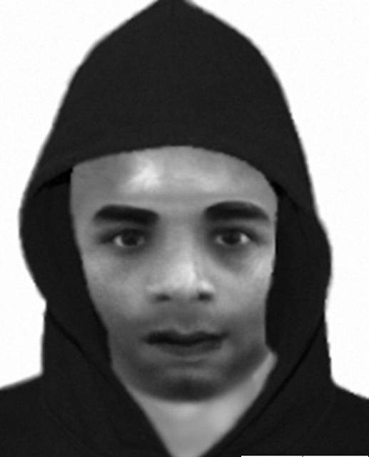 An e-fit of the offender