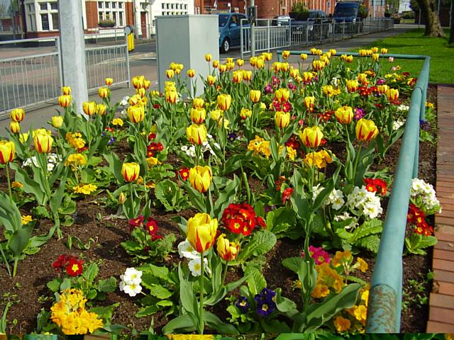 Rochdale Township in Bloom 2010
