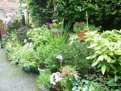 Rochdale Township in Bloom 2010
