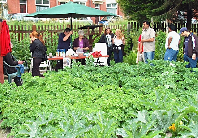 The Growth Project’s prize-winning allotment site on Kellett Street, 