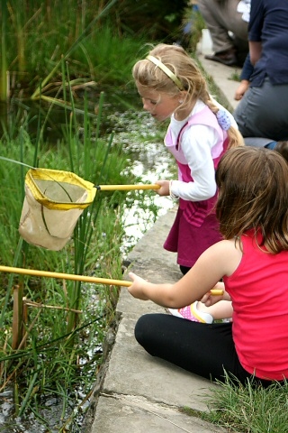 Rhianna Smith, 6, has a look in her net with Sophie Bamford, 8, 