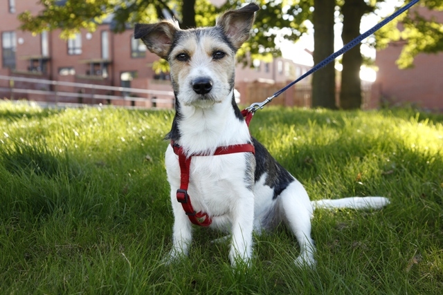 Buster also features in the book and exhibition