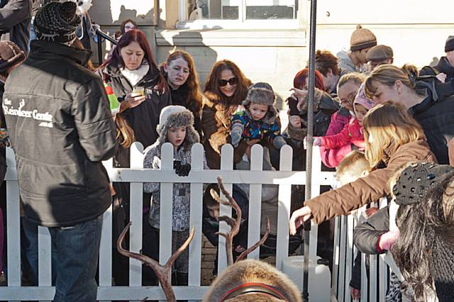 Reindeer parade