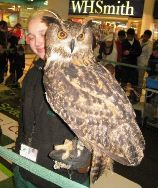 North West Animal Rescue in the Rochdale Exchange