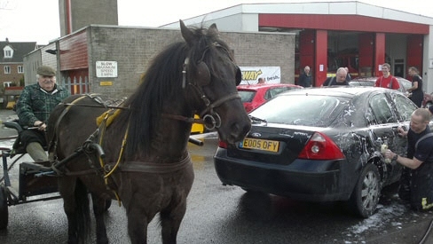 Horse and cart visiting the charity car wash 