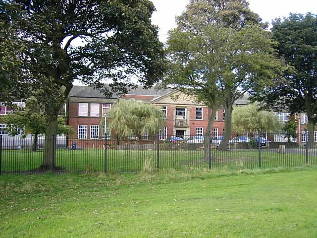 The trees before they were felled