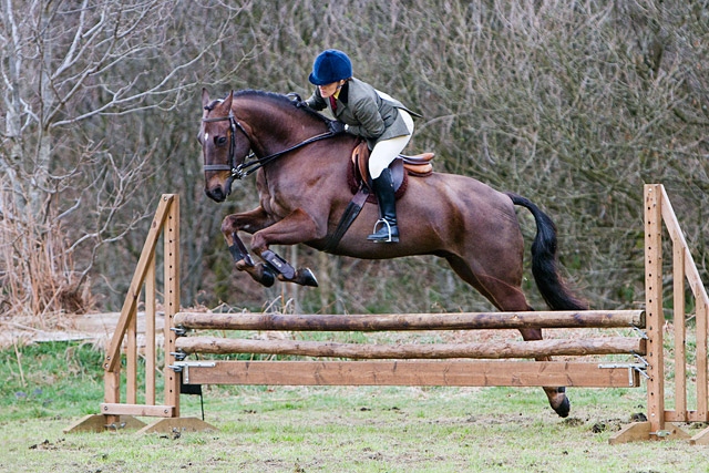 Rochdale & District Riding Club 