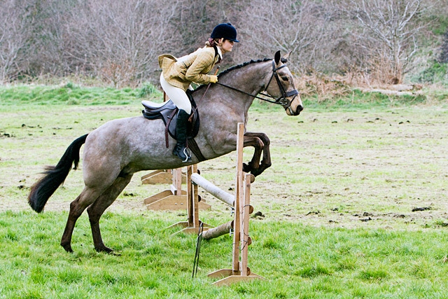 Rochdale & District Riding Club 