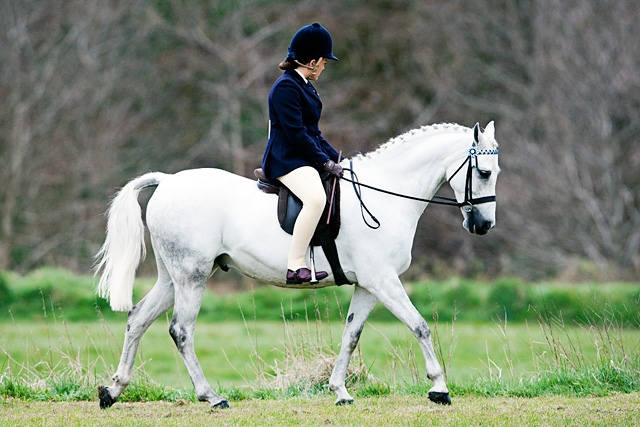 Rochdale & District Riding Club