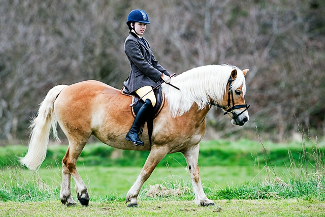 Rochdale & District Riding Club