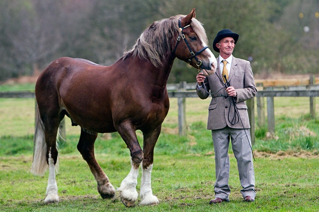 Rochdale & District Riding Club