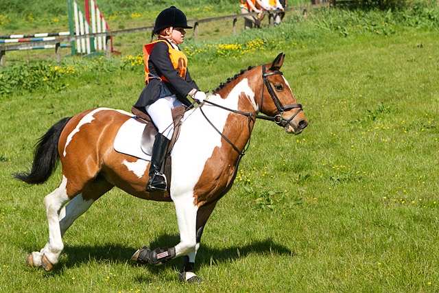 Rochdale Riding Club - Show Jumping