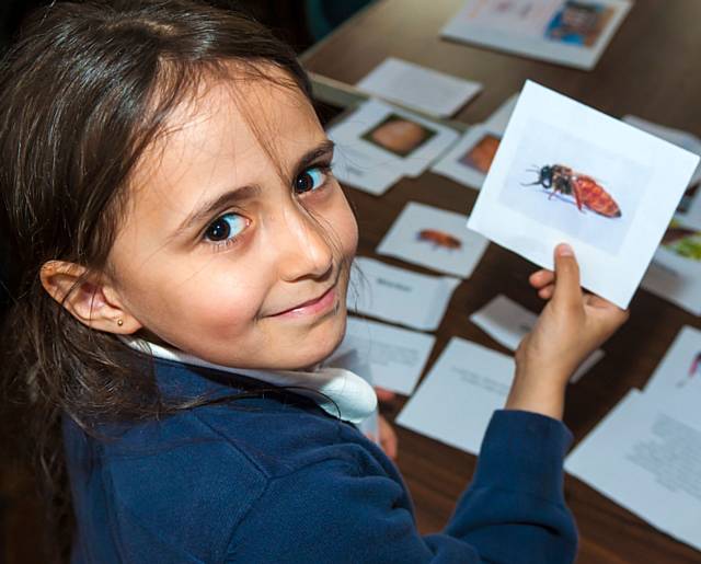 QUEEN - Sheena from Shawclough Primary inspects a queen bee