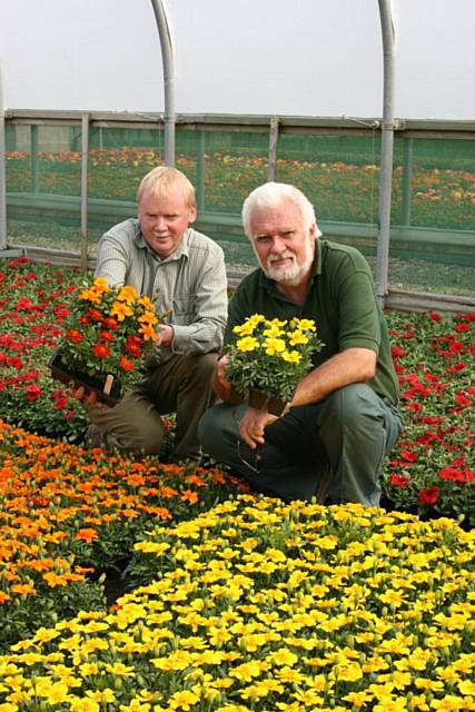 Rochdale Borough Council’s Bowlee Nursery has grown almost 200,000 red, orange and yellow flowers to celebrate the United Nations International Year of Co-operatives