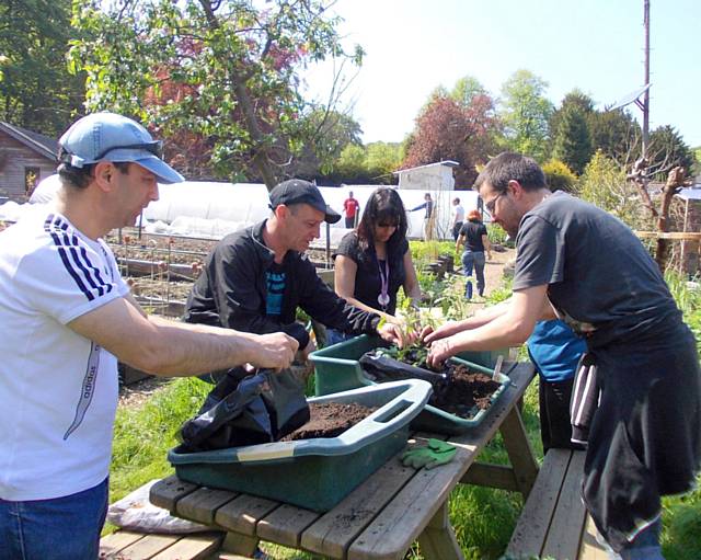 Falinge growers help at Offshoots