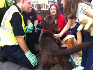 Firefighters and volunteers reunite Shaw residents with pets