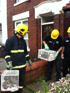 Firefighters and volunteers reunite Shaw residents with pets