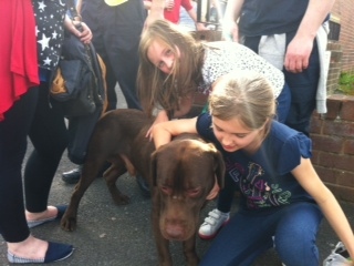 Firefighters and volunteers reunite Shaw residents with pets