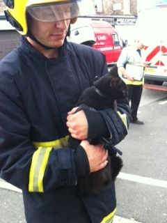 Firefighters and volunteers reunite Shaw residents with pets