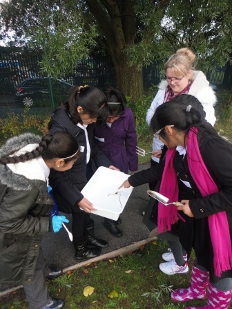 Pupils from Lowerplace Primary on a mini beast hunt 