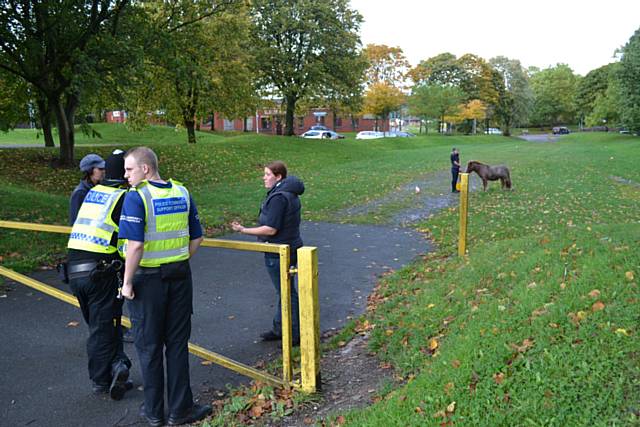 Shetland pony rescued from the Ewood area 