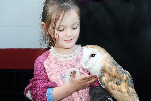 Lilly Mae Westwell meets an Owl