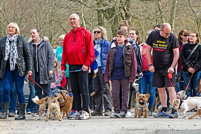 Doggy Dash For Life - on your marks!