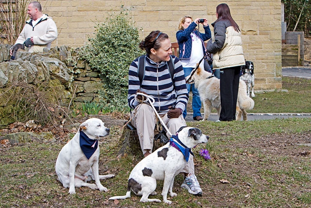 North West dog owners three times More likely to keep in shape than non-pet owners