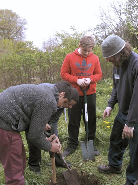 Year 10 pupils from Matthew Moss planting apple trees at Springhill Hospice as part of the Rochdale’s Jubilee Orchard Project