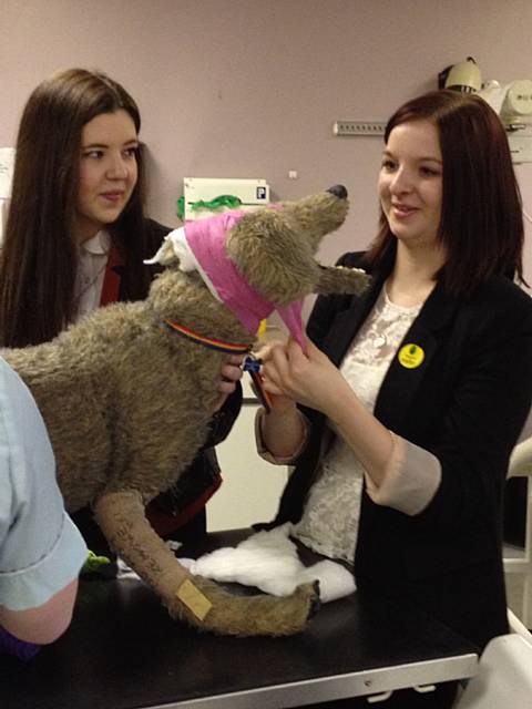 Faith Genesis from Heywood and Nicole Webb from Wardle applying an ear bandage