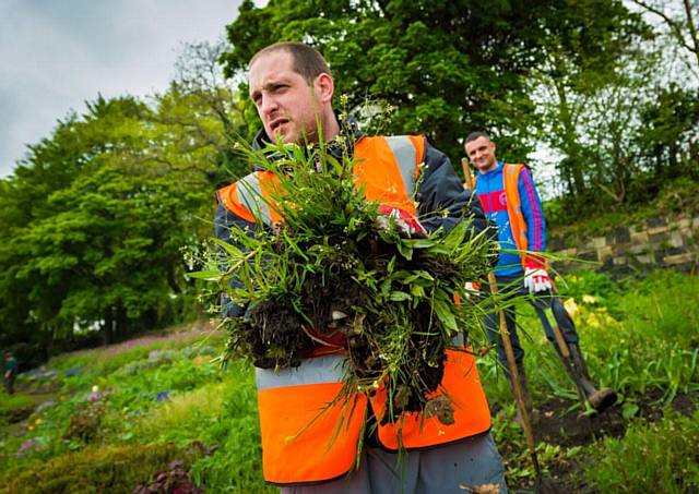 Offenders carrying out Community Payback plant a range of flowers in Springfield Park