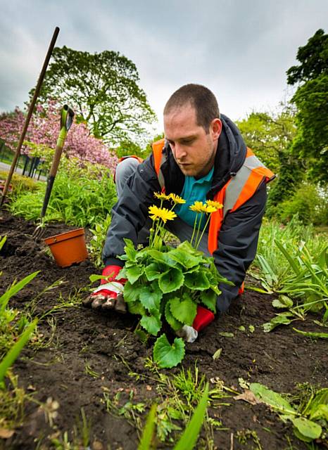 Offenders carrying out Community Payback plant a range of flowers in Springfield Park