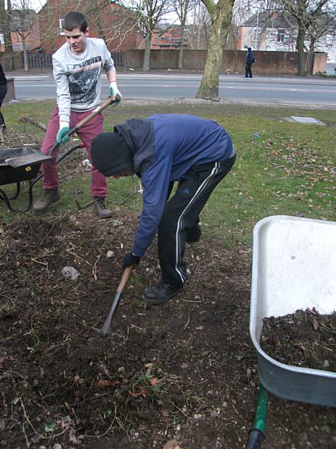 Lewis and Danny grafting