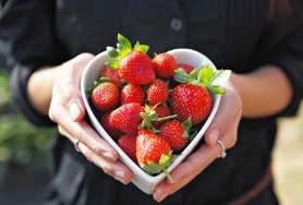 Bowl of strawberries