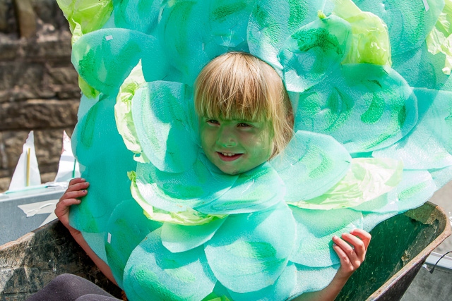 Milnrow & Newhey Carnival 2013