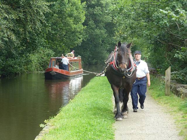 Horseboating at the 2013 Rochdale Canal Festival 