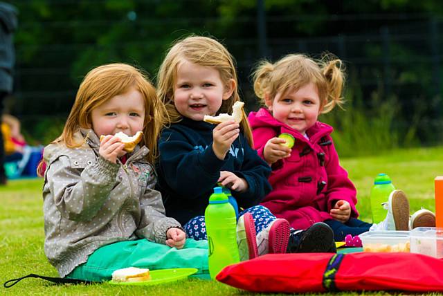 Teddy Bears’ Picnic in Springfield Park