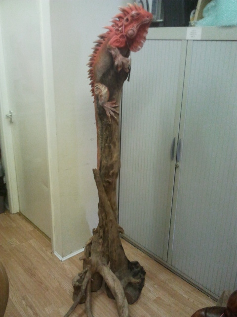 A similar Iguana driftwood sculpture to the one stolen