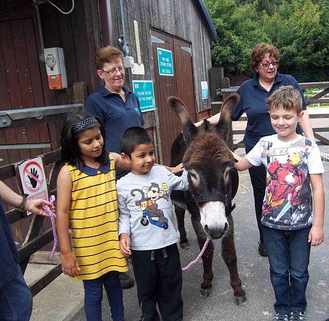 Lower Prep adopted a donkey, as you can see, they enjoyed having a cuddle and are looking forward to visiting him again