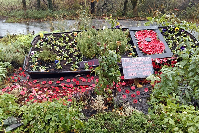 Hollingworth Lake Visitor Centre poppy display